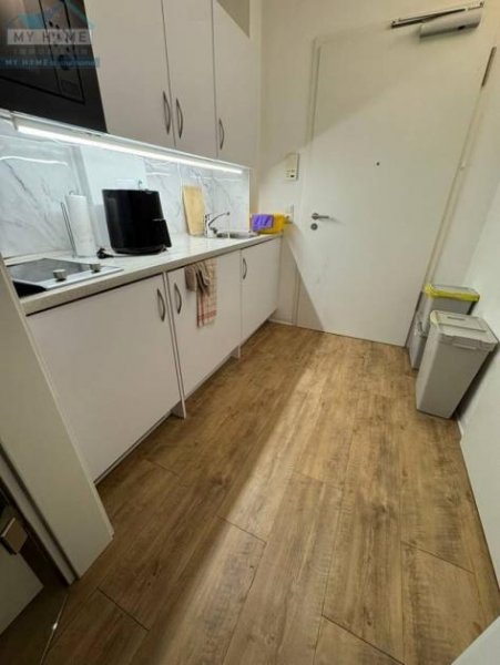 Trier Mod. Apartm. Nähe Uni / Bhf., 1 ZKB, ca. 26 m², ruhiges Haus, 1.02.2026 Wohnung mieten