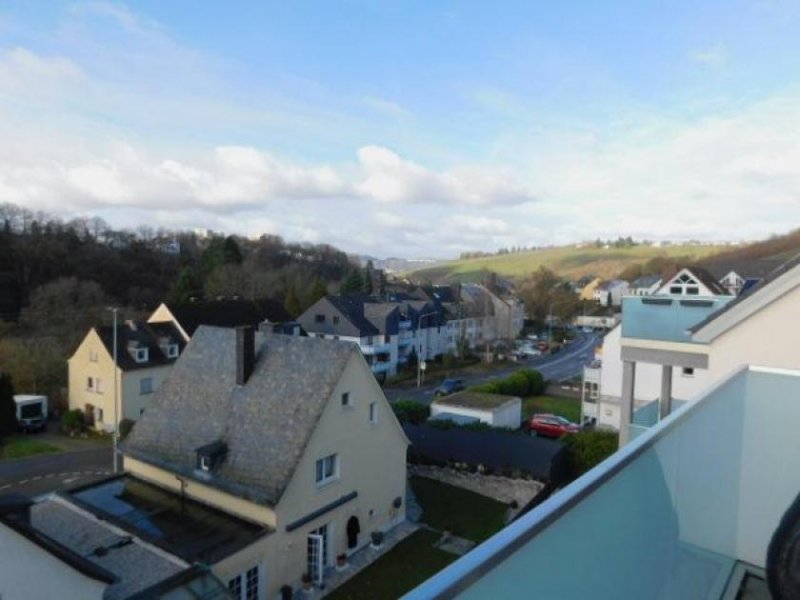 Trier voll möblierte 3 Zi Whg. in Trier-Olewig… vier schöne Wände,ein malerischer Ausblick, was will Mann/Frau mehr ? Wohnung