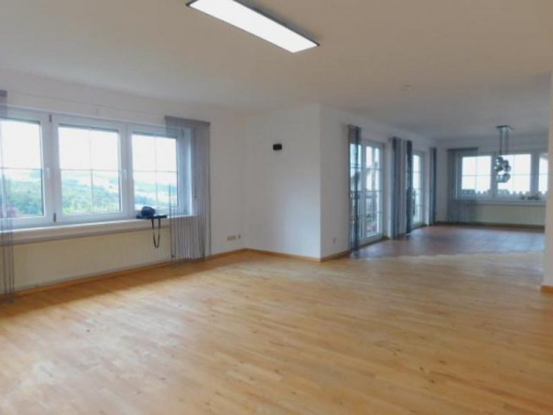 Trierweiler Trierweiler- EFH zur Miete - 350 qm Wohnfläche, 6 Zimmer,Doppelgarage,Garten,herrlicher Ausblick Wohnung mieten