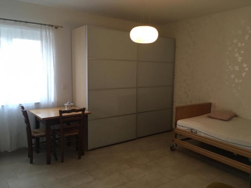 Pluwig schöne, neuwertige 3 Zimmer Küche, Bad, Garage große Terrasse, mit großem Garten Wohnung mieten