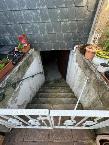 Kröv Laden oder Lokal mit Moselterrasse - Gaststätte - Gelegenheit - langfristig zu vermieten!!!! Gewerbe mieten