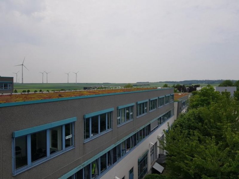 Mainz MAINZ: Helle Büroflächen mit Ausblick in's Grüne - provisionsfrei Gewerbe mieten