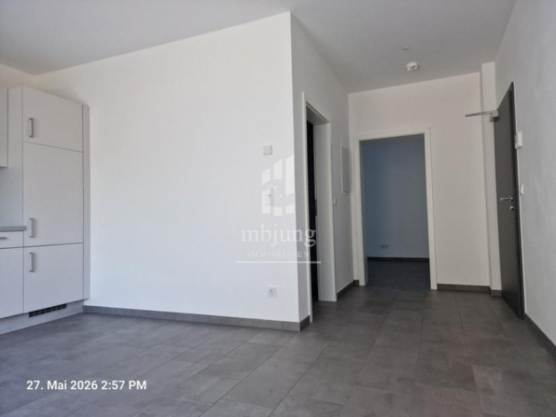 Zell (Mosel) Kleine gemütliche 2-Raum-Wohnung - barrierefrei - KfW - WG13 Wohnung mieten