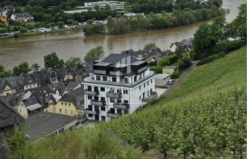 Zell (Mosel) *** Moderne 2-Raum-Wohnung mit großem Balkon 06 *** Wohnung mieten