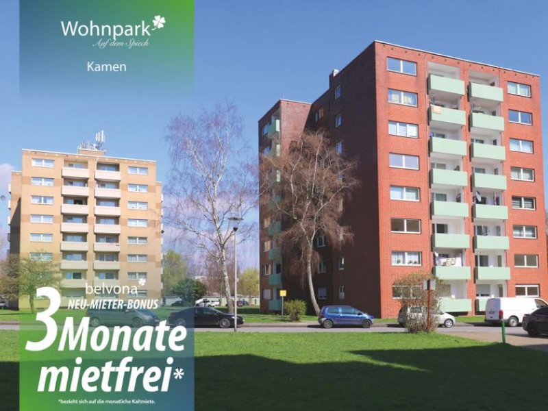 Kamen 3 Monate mietfrei: Frisch sanierte 3 Zimmer-Ahorn-Luxuswohnung im Wohnpark auf dem Spieck! Wohnung mieten