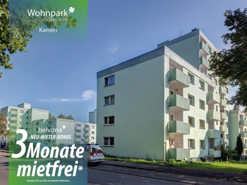 Kamen Wohnpark Auf dem Spieck: 2 Zi- Ahorn-Luxuswohnung frisch saniert.
3 Monate sind mietfrei!! Wohnung mieten