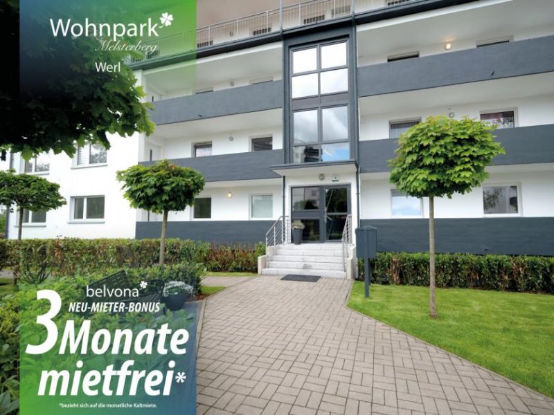Werl 3 Monate mietfrei: Frisch sanierte 2 Zimmer-Ahorn-Luxuswohnung im „Wohnpark Meisterberg!“ Wohnung mieten