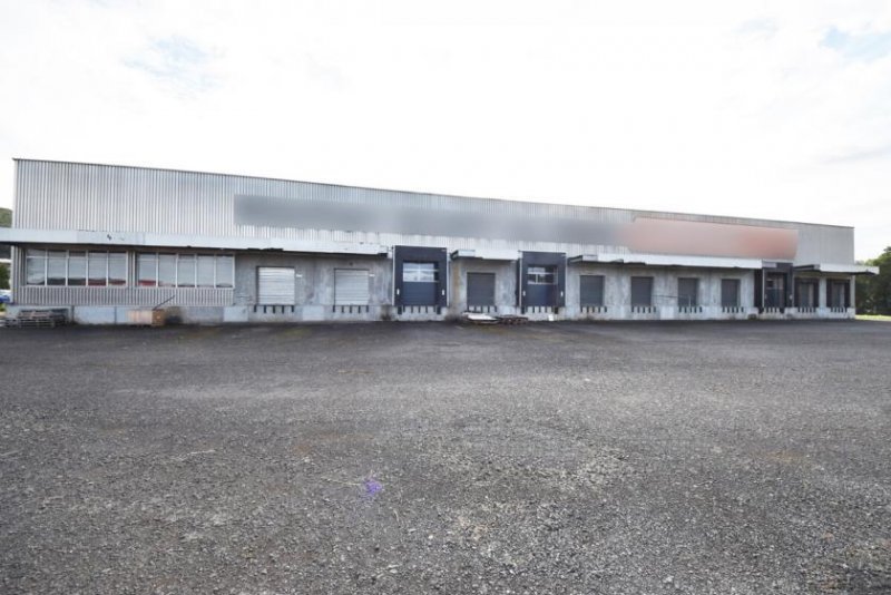 Rodgau DIETZ: Provisionsfrei 4,- VHB pro qm - Niedrige Nebenkosten! Logistikhalle bis zu 800 kVA Strom Gewerbe mieten