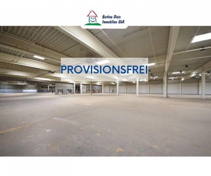 Rodgau DIETZ: Provisionsfrei 4,- VHB pro qm - Niedrige Nebenkosten! Logistikhalle bis zu 800 kVA Strom Gewerbe mieten