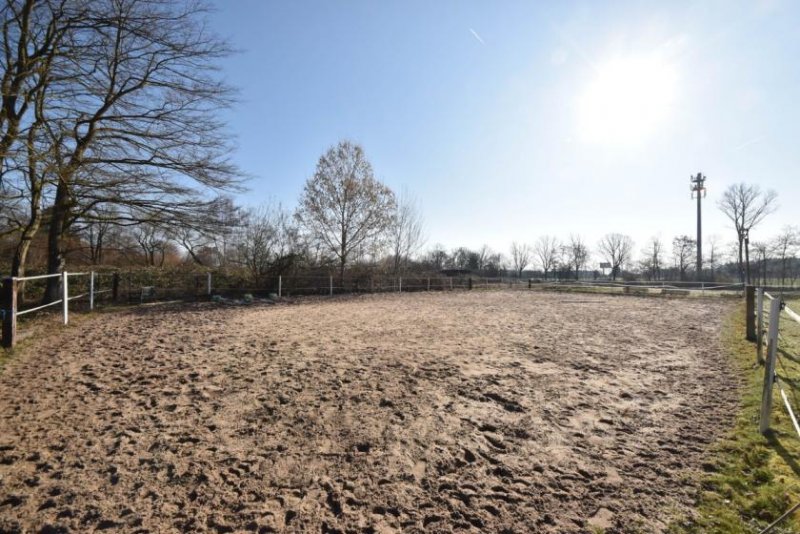 Seligenstadt DIETZ: Reitgelände mit Stallungen für 13 Pferdeboxen auf 1,5 ha zu vermieten! Nur 20 Min von FFM! Gewerbe mieten