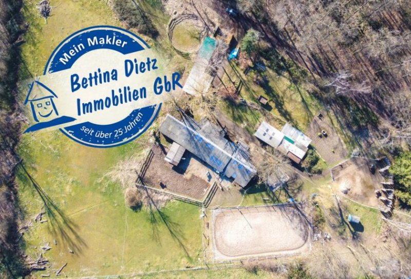 Seligenstadt DIETZ: Reitgelände mit Stallungen für 13 Pferdeboxen auf 1,5 ha zu vermieten! Nur 20 Min von FFM! Gewerbe mieten