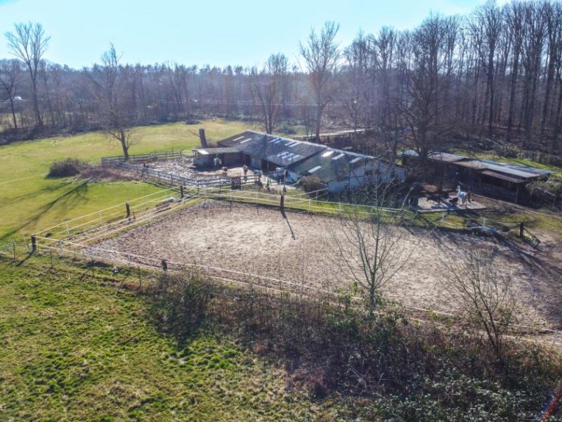 Seligenstadt DIETZ: Reitgelände mit Stallungen für 13 Pferdeboxen auf 1,5 ha zu vermieten! Nur 20 Min von FFM! Gewerbe mieten