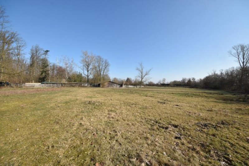 Seligenstadt DIETZ: Reitgelände mit Stallungen für 13 Pferdeboxen auf 1,5 ha zu vermieten! Nur 20 Min von FFM! Gewerbe mieten