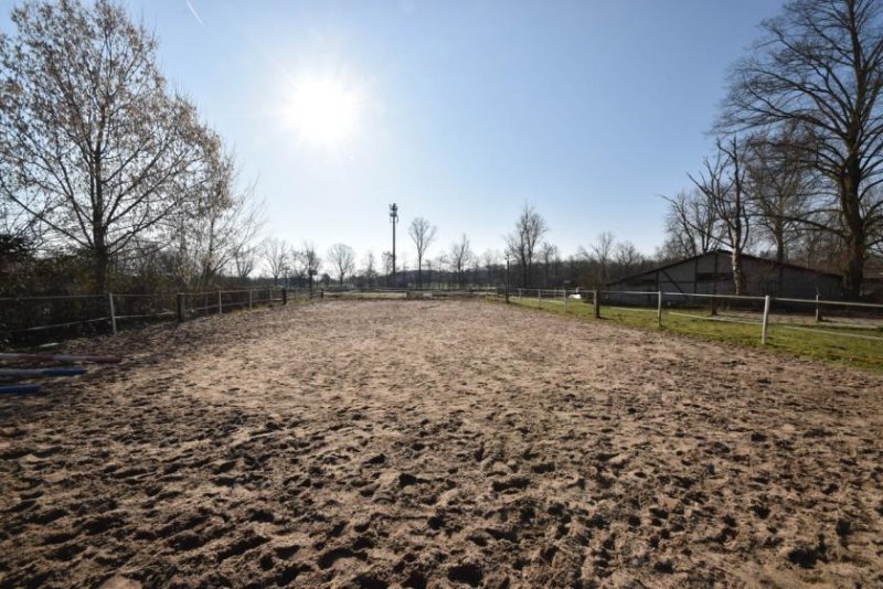 Seligenstadt DIETZ: Reitgelände mit Stallungen für 13 Pferdeboxen auf 1,5 ha zu vermieten! Nur 20 Min von FFM! Gewerbe mieten
