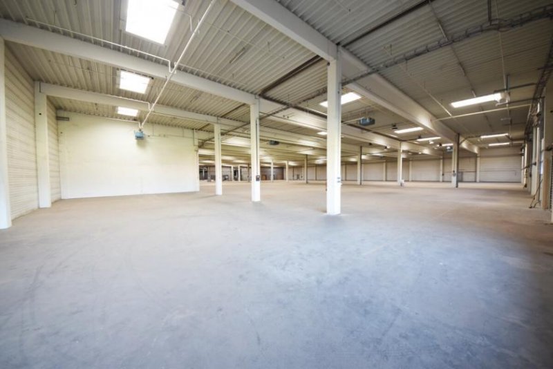 Elsenfeld DIETZ: Provisionsfrei 4,- VHB pro qm - Niedrige Nebenkosten! Logistikhalle m. 14 Rolltoren - 800 kVA Gewerbe mieten