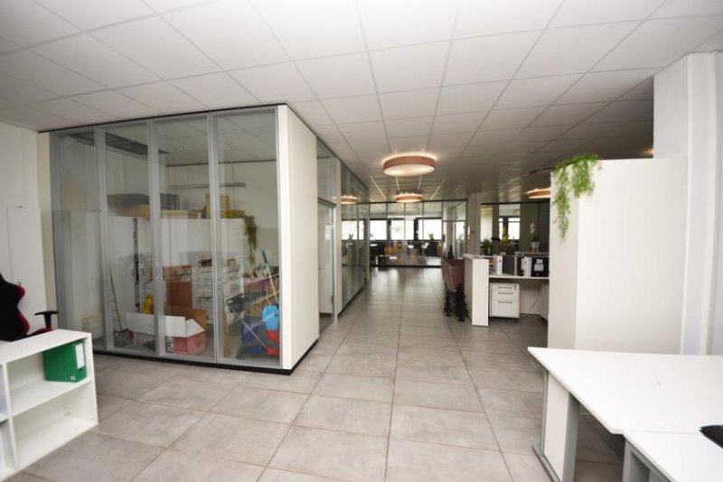 Elsenfeld DIETZ: PROVISIONSFREI Modernisierte Büroetage mit 300m² Bürofläche zur Vermietung! Viele Parkplätze! Gewerbe mieten