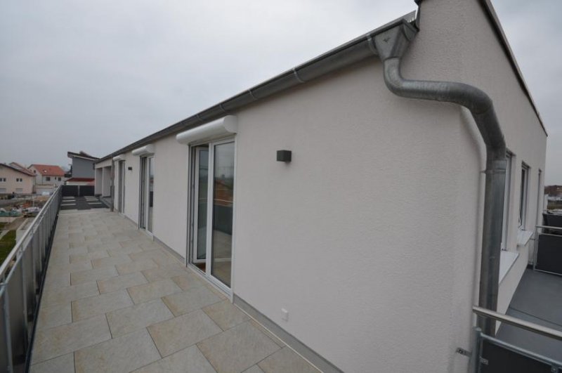 Münster (Landkreis Darmstadt-Dieburg) DIETZ: NEUBAU 3-Zimmer-Wohnung und Büro nur für Selbstständige! Wohnen und Arbeiten! Wohnung mieten