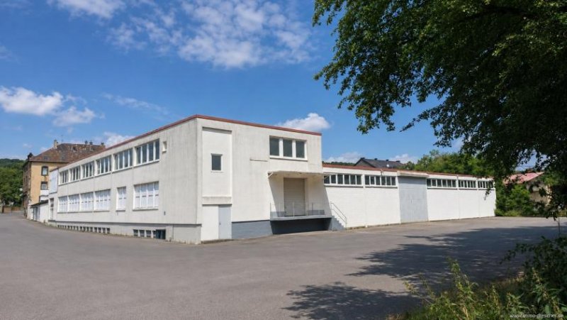 Neunkirchen Flexible Hallen-, Verkaufs- und Büroflächen zur Miete Gewerbe mieten