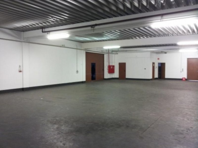 Saarlouis Saubere Halle für Lager und Produktion in logistischer TOP-Lage Gewerbe mieten