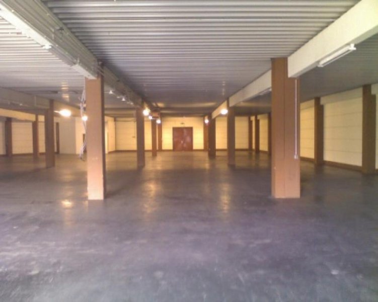 Saarlouis Saubere Halle für Lager und Produktion in logistischer TOP-Lage Gewerbe mieten