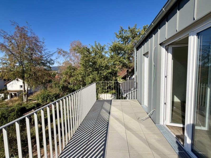 Kirchheimbolanden EUPORA® Immobilien: Frisch sanierte Wohnung mit Garten in Kirchheimbolanden. Wohnung mieten