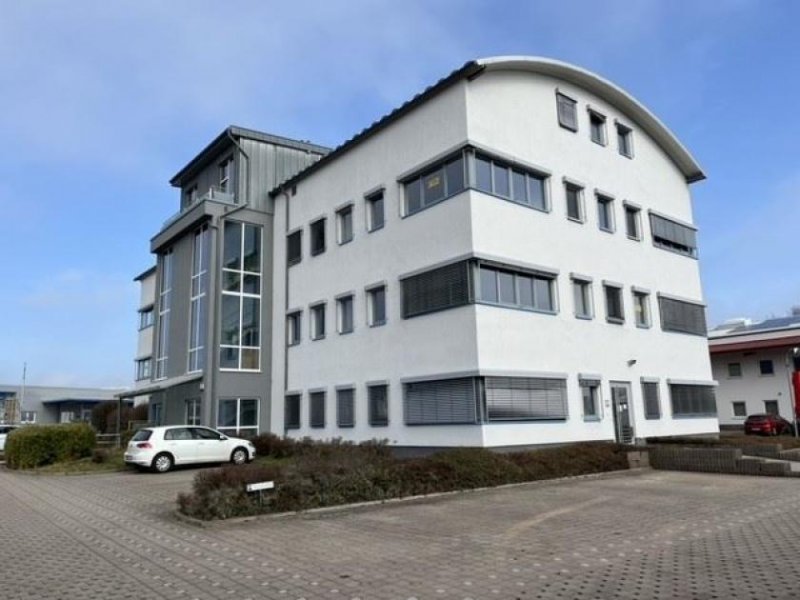 Kirchheimbolanden EUPORA® Immobilien: Moderne Gewerbe-/Bürofläche in Kirchheimbolanden. Gewerbe mieten