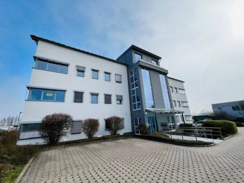 Kirchheimbolanden EUPORA® Immobilien: Moderner Gewerbe-/Büroraum in Kirchheimbolanden. Gewerbe mieten