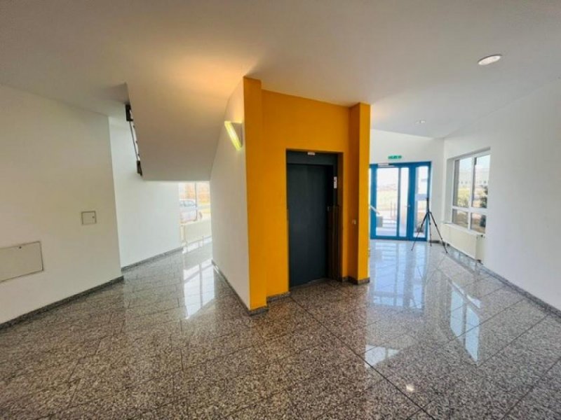 Kirchheimbolanden EUPORA® Immobilien: Moderner Gewerbe-/Büroraum in Kirchheimbolanden. Gewerbe mieten