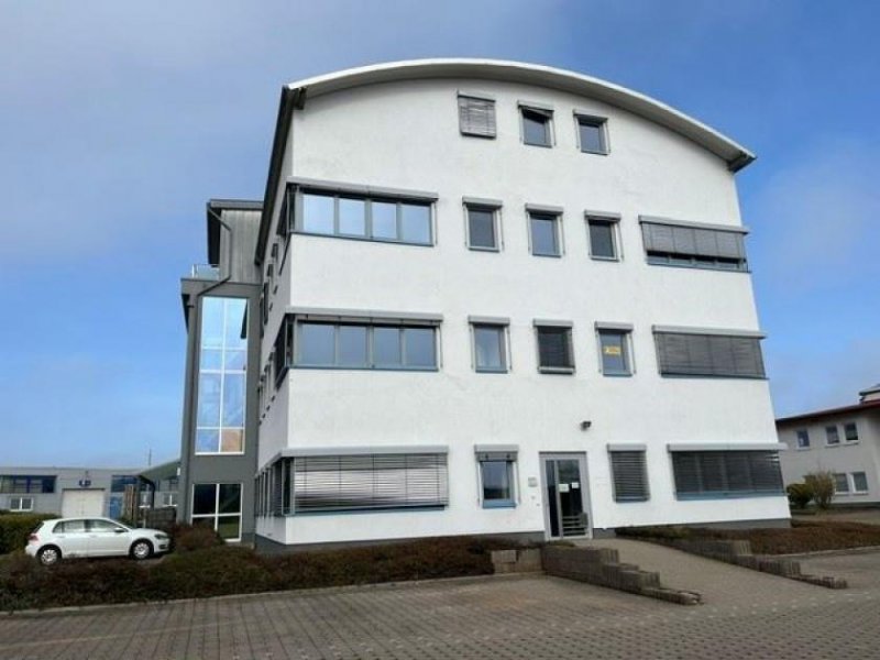 Kirchheimbolanden EUPORA® Immobilien: Moderner Gewerbe-/Büroraum in Kirchheimbolanden. Gewerbe mieten