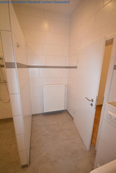 Neustadt an der Weinstraße Eine wunderschoene Altbauwohnung in zentraler Stadtlage. Wohnung mieten