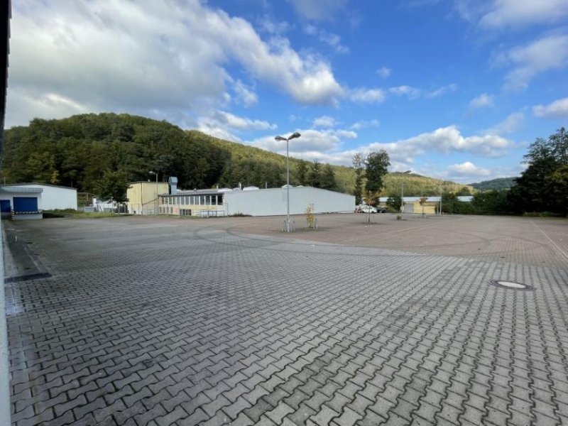Waldfischbach-Burgalben Lager/Produktion/Handelsfläche - ab 300m2 TEILFLÄCHEN Gewerbe mieten
