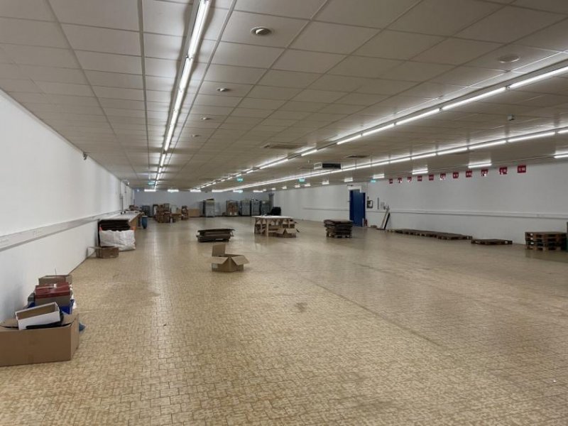 Waldfischbach-Burgalben Lager/Produktion/Handelsfläche - ab 300m2 TEILFLÄCHEN Gewerbe mieten