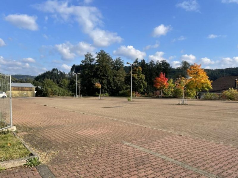 Waldfischbach-Burgalben Lager/Produktion/Handelsfläche - ab 300m2 TEILFLÄCHEN Gewerbe mieten