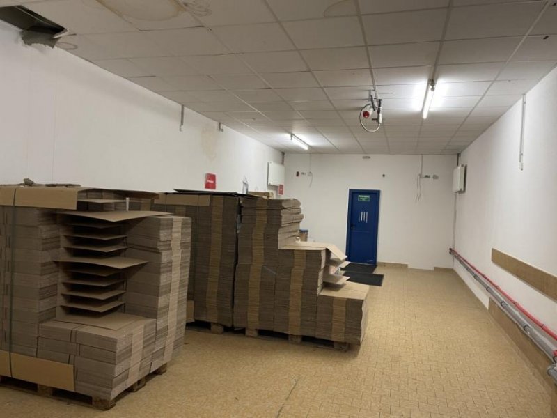 Waldfischbach-Burgalben Lager/Produktion/Handelsfläche - ab 300m2 TEILFLÄCHEN Gewerbe mieten