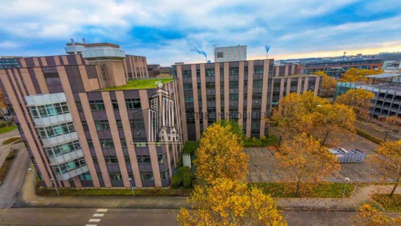 Mannheim ATIK: Attraktive Büroflächen in hervorragender Lage - Single Tenant Chance! - provisionsfrei Gewerbe mieten