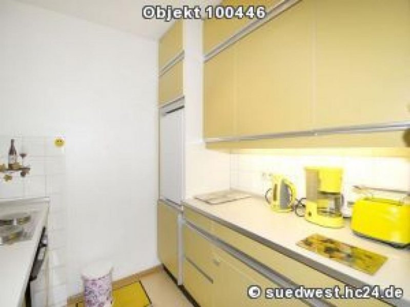 Mannheim Mannheim-Neckarstadt-Ost: Helle, möblierte 2-Zimmer-Wohnung mit Blick ins Grüne Wohnung mieten