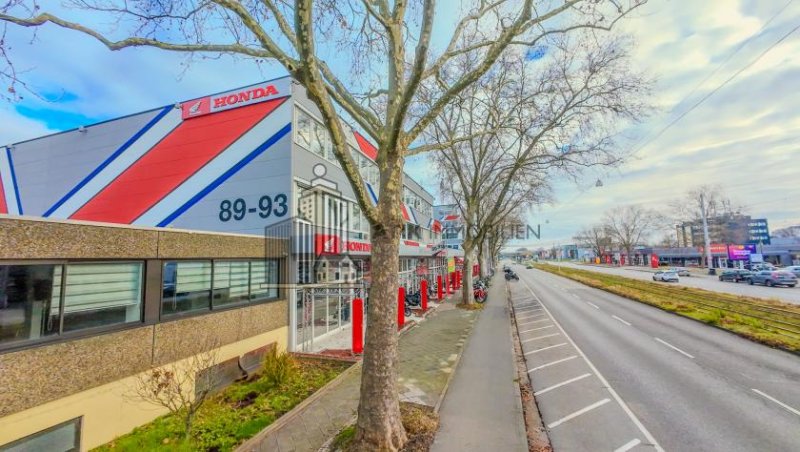 Mannheim ATIK: Erstbezug nach Sanierung durch Mieterwunsch - Modernes Büro in zentraler Lage - provisionsfrei Gewerbe mieten