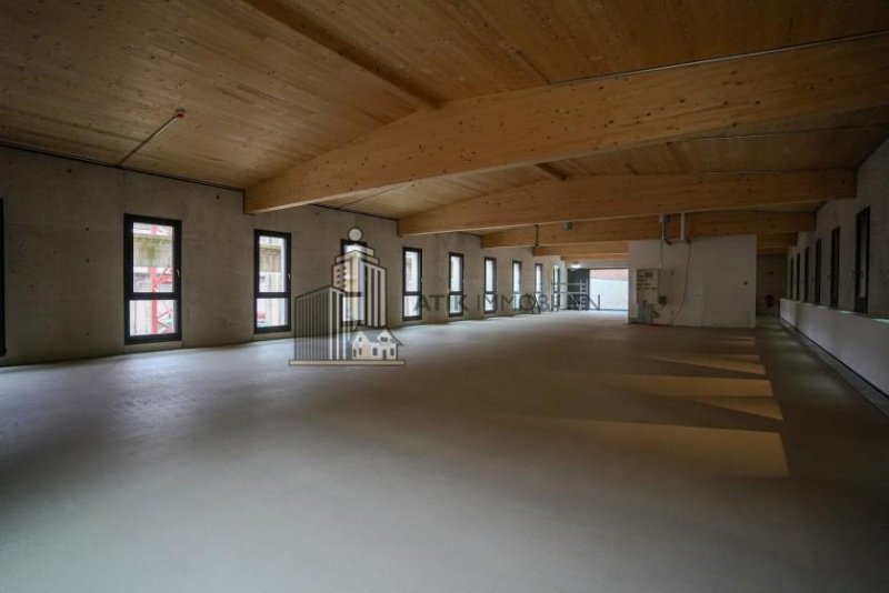Heidelberg ATIK: Neubau mit Holzmassivdachstuhl im historischen Bahn-Betriebswerk Heidelberg Gewerbe mieten