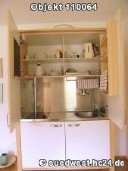 Heidelberg Heidelberg-Ziegelhausen: 1-Zi-Appartement mit Neckarblick und Terrasse zur Zwischenmiete Wohnung mieten