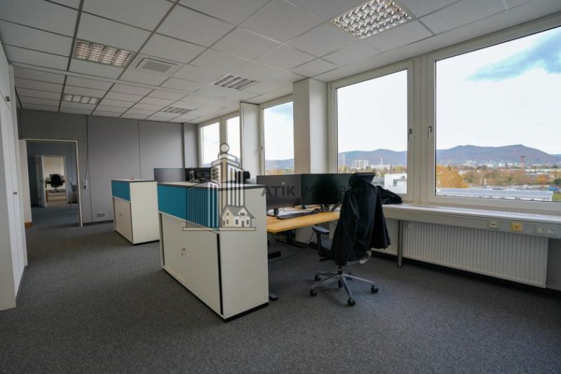 Heidelberg ATIK: Büroflächen in verkehrsgünstiger Lage mit Dachterrasse Gewerbe mieten