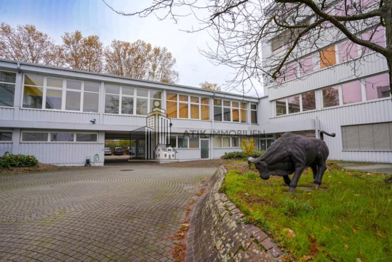 Heidelberg ATIK: Helle und funktionale Büro-/Schulungsräume im Erdgeschoss - provisionsfrei Gewerbe mieten