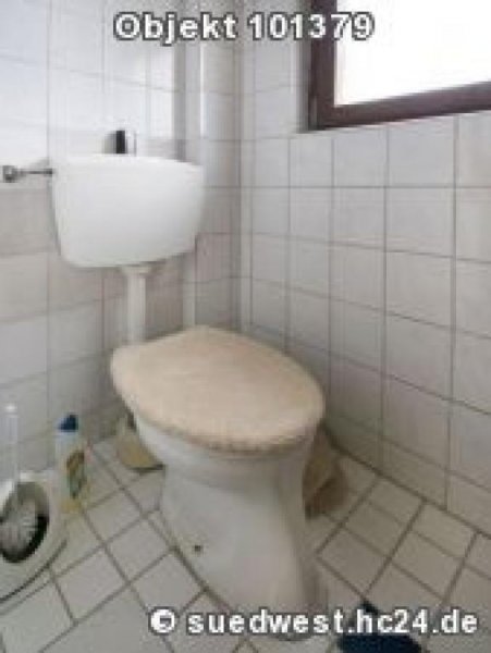 Nußloch Nußloch: Apartment mit Duschbad und Küche Wohnung mieten