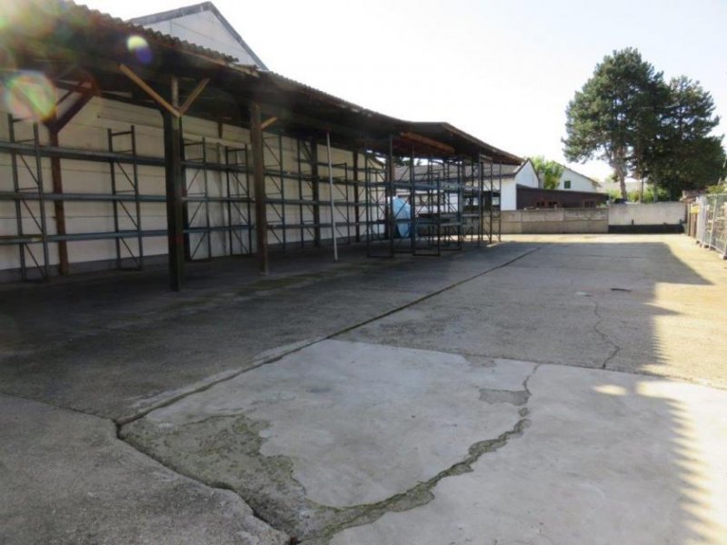 Laudenbach (Rhein-Neckar-Kreis) Büroräume + Lagerhallen + Freiflächen vielseitig nutzbar Gewerbe mieten