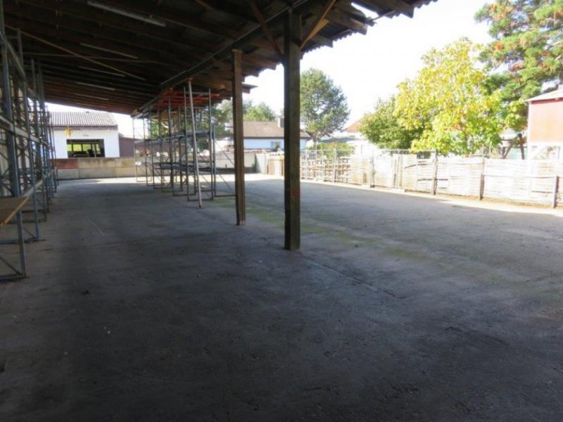 Laudenbach (Rhein-Neckar-Kreis) Büroräume + Lagerhallen + Freiflächen vielseitig nutzbar Gewerbe mieten
