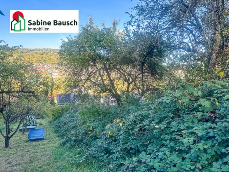 Remshalden Dornrösschen Garten - Prinz gesucht! Grundstück mieten