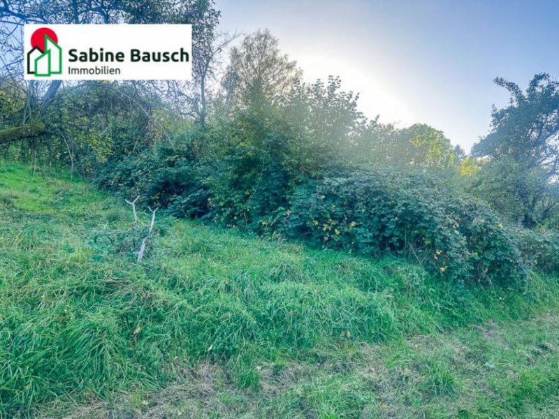 Remshalden Dornrösschen Garten - Prinz gesucht! Grundstück mieten