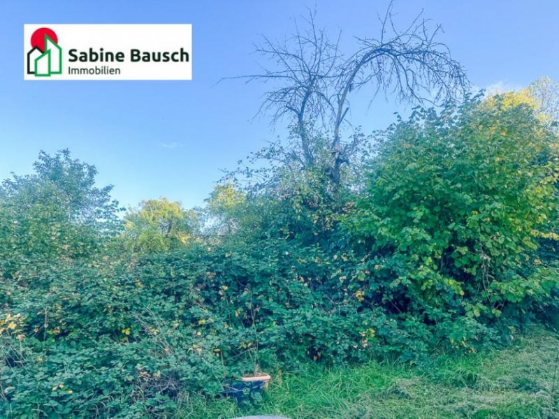 Remshalden Dornrösschen Garten - Prinz gesucht! Grundstück mieten