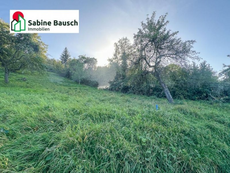 Remshalden Dornrösschen Garten - Prinz gesucht! Grundstück mieten