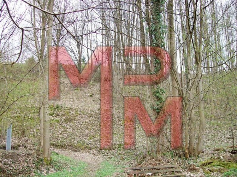 Bad Wildbad Haustiere Erlaubt! große 2 Zimmer Whg mit EBK, Balkon u. Stellplatz auf 51qm Wohnung mieten