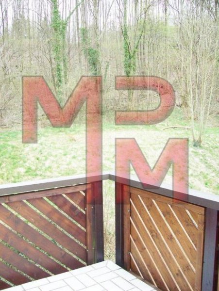 Bad Wildbad Haustiere Erlaubt! große 2 Zimmer Whg mit EBK, Balkon u. Stellplatz auf 51qm Wohnung mieten